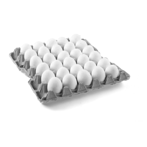 Egg Ukrain/Turkey 1 Tray