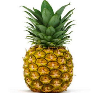Pineapple 1 Pc