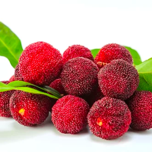 Red Bay (waxberry)