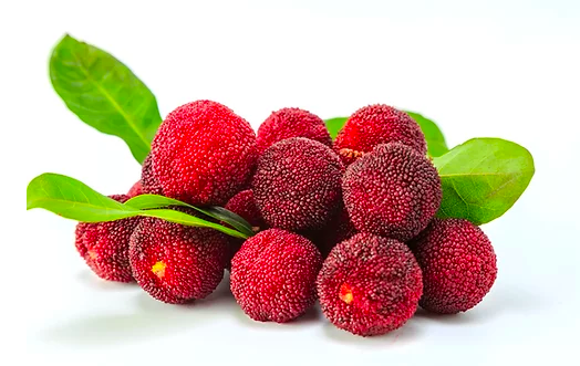 Buy Berries Red Current 1Pkt Online in Dubai, Sharjah, Abu Dhabi