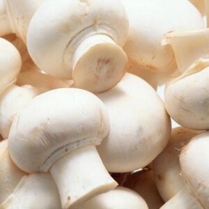 Mushroom 1Pkt