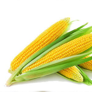 Sweet corn 1 Kg