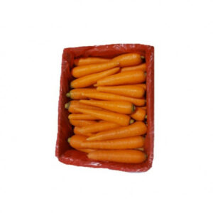 Carrot China Box…