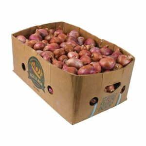 Onion India Box 15kg