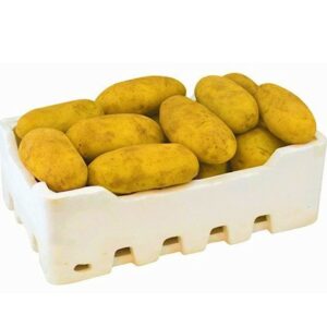 Potato Jordan Box 7-8kg