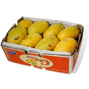 Mango Pakistan Box 6kg