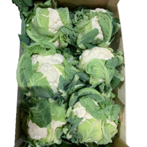 Cauliflower Box(5kg)