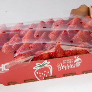 Strawberry Africa Box…