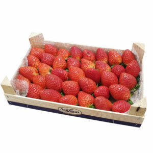 Strawberry Tunisia 1kg