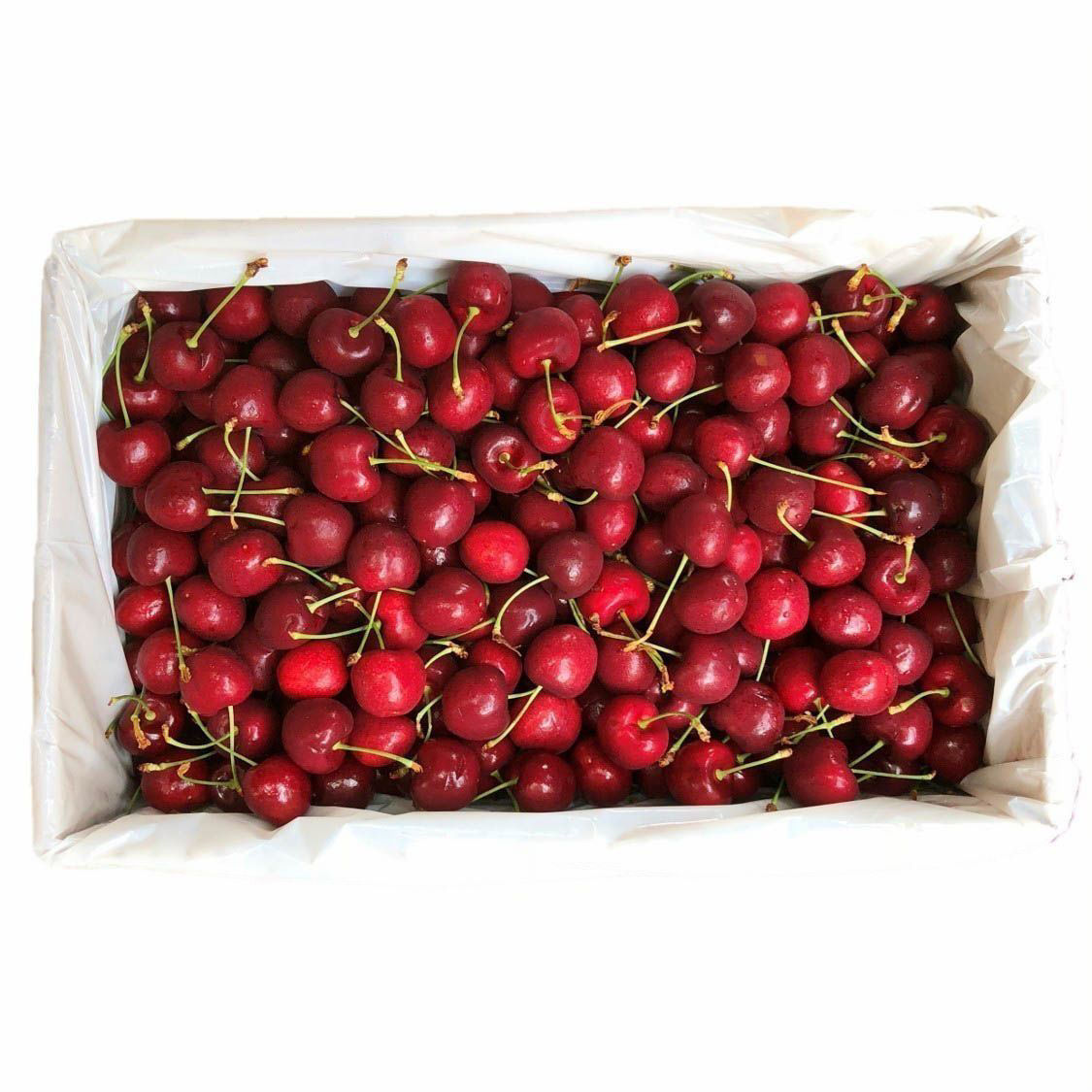 Cherry 1Box(2.5kg)