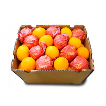 Orange Aseer Misr -1Box