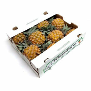 Baby Pineapple Box(1*6)