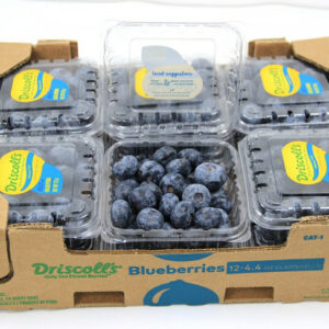 Blueberry Box 12*125gm
