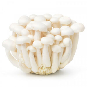 Shemiji Mushroom White-1Pkt