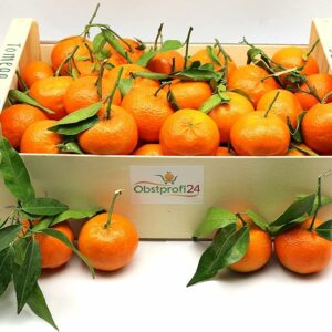 Orange Tangerine Morocco-9kg