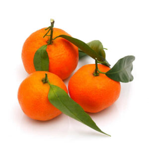 Orange Tangerine Morocco…