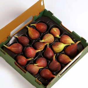 Figs Egypt-Box